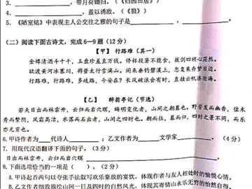 2020年上海市杨浦区中考一模语文试卷